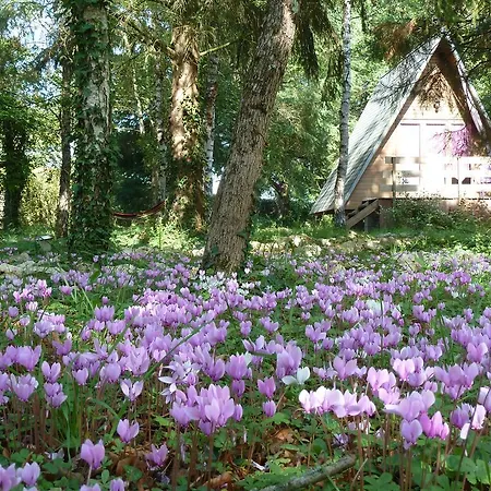 La Rossignolerie - Cabane Aux Oiseaux Chouzy-sur-Cisse Exterior photo