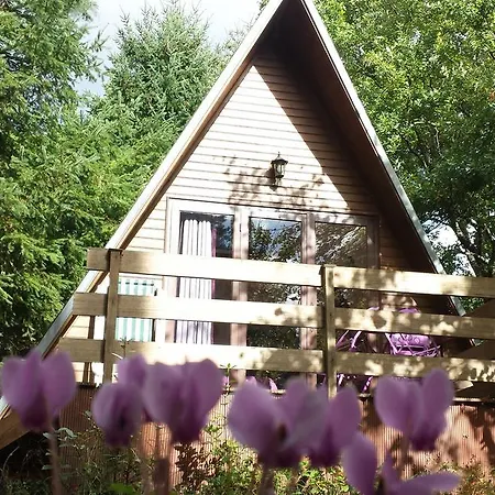La Rossignolerie - Cabane Aux Oiseaux Chouzy-sur-Cisse Exterior photo