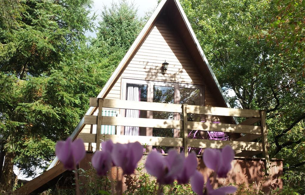 La Rossignolerie - Aux Oiseaux Chalet